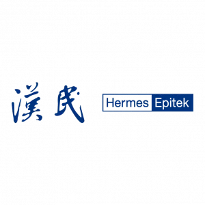 Hermes Epitek logo