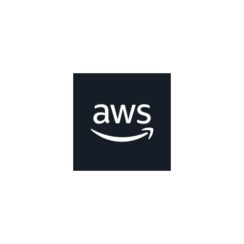 AWS Annapurna Labs
