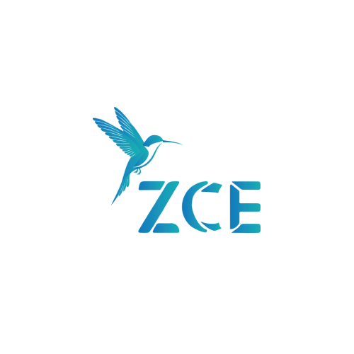 ZCE ( Zero Carbon Emission)
